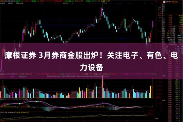 摩根证券 3月券商金股出炉！关注电子、有色、电力设备