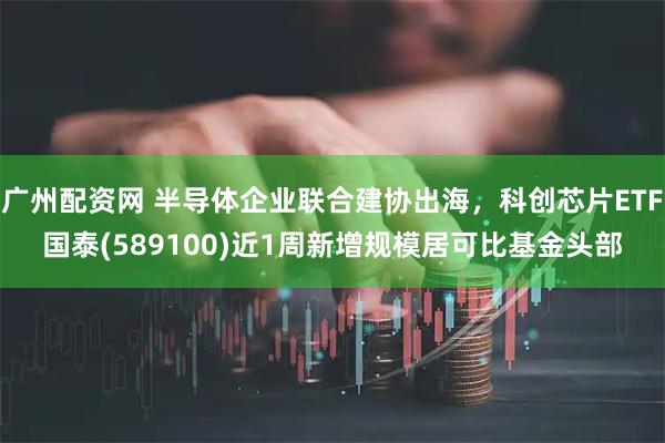 广州配资网 半导体企业联合建协出海，科创芯片ETF国泰(589100)近1周新增规模居可比基金头部